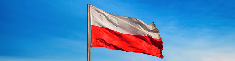 Polski przemysł się odradza