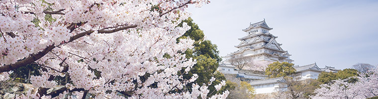 USDJPY na 1,5 rocznych szczytach