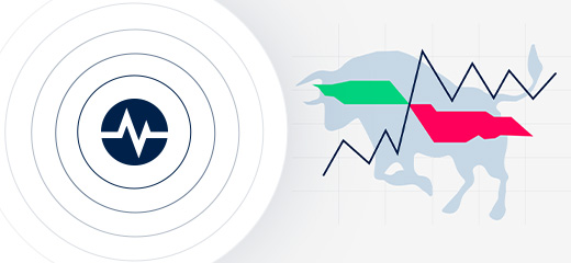 Szkolenia i Webinary Forex