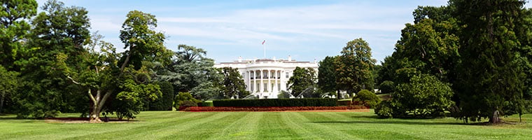 Trump: „Wygrywamy we WSZYSTKIM”