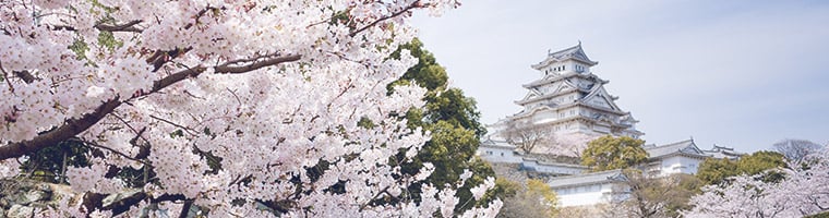 Ichomiku Kinko Hyo: USDJPY szuka potwierdzenia