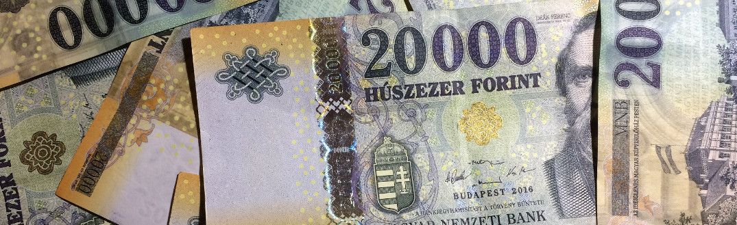 Bank centralny Węgier pozostawił stopy niezmienione - forint się umacnia