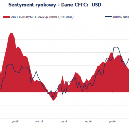 Pozycja spekulacyjna netto w USD (mld USD); Źródło: Bloomberg, CFTC, TMS Brokers