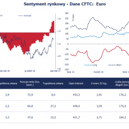 Pozycja spekulacyjna netto w EUR (tys. kontraktów); Źródło: Bloomberg, CFTC, TMS Brokers