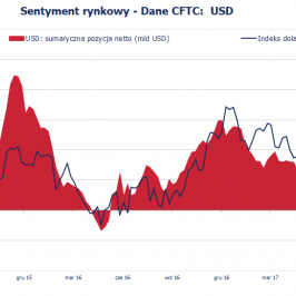 Pozycja spekulacyjna netto w USD (mld USD); Źródło: Bloomberg, CFTC, TMS Brokers