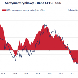 Pozycja spekulacyjna netto w USD (mld USD); Źródło: Bloomberg, CFTC, TMS Brokers