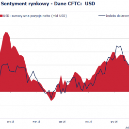 Pozycja spekulacyjna netto w USD (mld USD); Źródło: Bloomberg, CFTC, TMS Brokers
