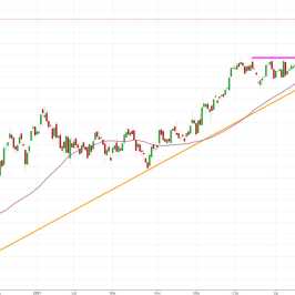 Notowania instrumentu PL20, interwał: D1, źródło: TMS Brokers