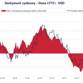 Pozycja spekulacyjna netto w USD (mld USD); Źródło: Bloomberg, CFTC, TMS Brokers