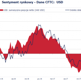 Pozycja spekulacyjna netto w USD (mld USD); Źródło: Bloomberg, CFTC, TMS Brokers