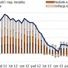 Dekompozycja inflacji <span>Źródło: GUS<span>