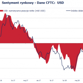 Pozycja spekulacyjna netto w USD (mld USD); Źródło: Bloomberg, CFTC, TMS Brokers