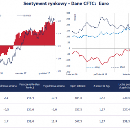Pozycja spekulacyjna netto w EUR (tys. kontraktów); Źródło: Bloomberg, CFTC, TMS Brokers