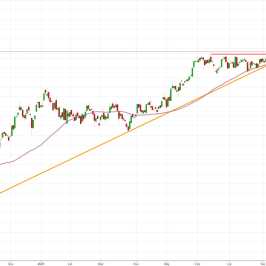 Notowania instrumentu PL20, interwał: D1, źródło: TMS Brokers