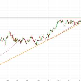 Notowania instrumentu PL20, interwał: D1, źródło: TMS Brokers