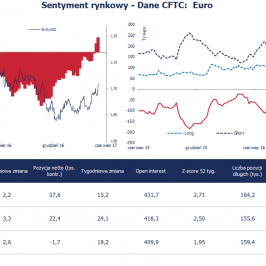 Pozycja spekulacyjna netto w EUR (tys. kontraktów); Źródło: Bloomberg, CFTC, TMS Brokers