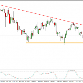 Wykres dzienny USD/CHF; Źródło: TMS Trader