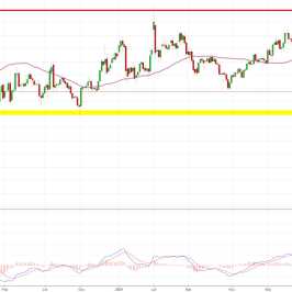 Notowania instrumentu SILVER, interwał: D1, źródło: TMS Brokers