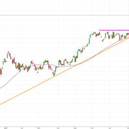 Notowania instrumentu PL20, interwał: D1, źródło: TMS Brokers