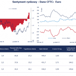 Pozycja spekulacyjna netto w EUR (tys. kontraktów); Źródło: Bloomberg, CFTC, TMS Brokers