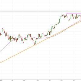 Notowania instrumentu PL20, interwał: D1, źródło: TMS Brokers