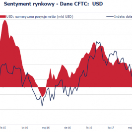 Pozycja spekulacyjna netto w USD (mld USD); Źródło: Bloomberg, CFTC, TMS Brokers