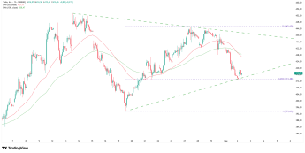 Wykres 1-godzinowy akcji TSLA, źródło: TradingView Sprzedaż w Chinach Tesli rośnie
