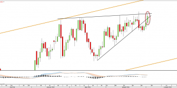 Wykres dzienny NZDUSD <span> Źródło: TMS Direct<snap>