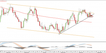 Wykres dzienny COPPER <snap> Źródło: TMS Direct<snap>