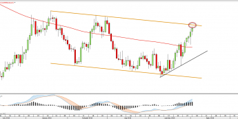 Wykres dzienny COPPER <snap> Źródło: TMS Direct<snap>