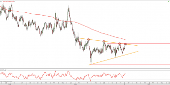 Wykres dzienny WHEAT z dn. 5.01 <span> Źródło: TMSDirect