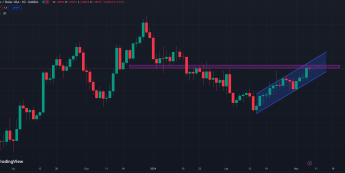 Powell osłabił USD?