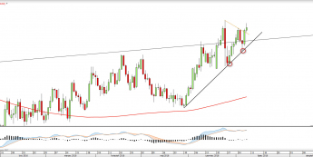 Wykres dzienny NZDUSD <snap> Źródło: TMS Direct<snap>
