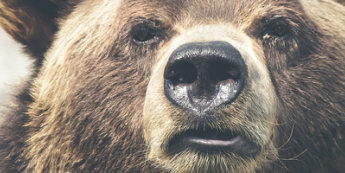 Ostre zgaszenie wzrostów na Wall Street