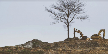 Caterpillar - dobre wyniki za I kwartał