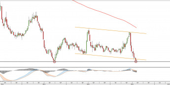 Daily chart CORN from 11.08.2016 <span> Source: TMS Direct <span>