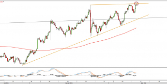 Wykres dzienny NZDUSD <snap> Źródło: TMS Direct<snap> Wykres dzienny NZDUSD <snap> Źródło: TMS Direct<snap>