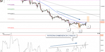 Wykres godzinowy kursu USD/CHF <span>Źródło: TMS Direct <span>