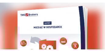 Miesiąc w gospodarce - listopad 2016