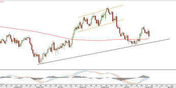 Wykres dzienny AUDUSD <snap> Źródło: TMS Direct<snap>