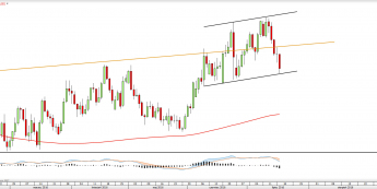 Wykres dzienny NZDUSD <snap> Źródło: TMS Direct<snap>