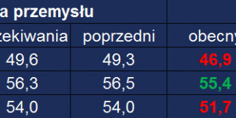 Tabela danych PMI <span> Źródło: TMS <span>