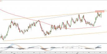 Wykres dzienny NZDUSD <snap> Źródło: TMS Direct<snap>