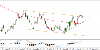 Wykres dzienny COPPER <snap> Źródło: TMS Direct<snap>