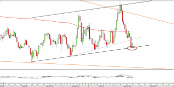 Wykres dzienny WHEAT <snap> Źródło: TMS Direct<snap>