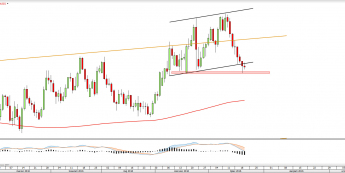 Wykres dzienny NZDUSD <snap> Źródło: TMS Direct<snap>