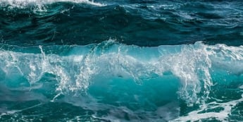 Fala optymizmu wzbiera