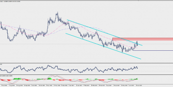 Wykres dzienny EUR/PLN; Źródło: TMS Trader