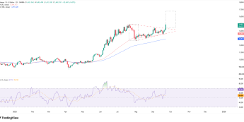Platyna w górę o 5%