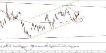 Wykres dzienny EURUSD <snap> Źródło: TMS Direct<snap>